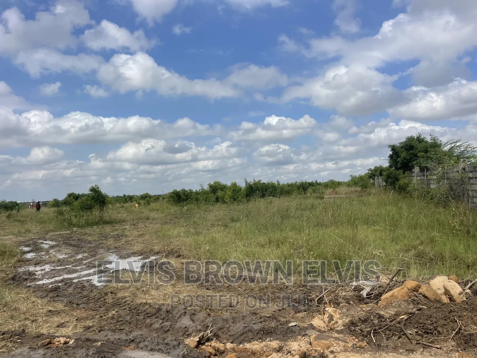 Exchange a Car With a Plot of Land 4 Sale at West Trasacco