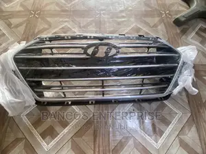 Hyundai Elantra 2016/2017 Grille