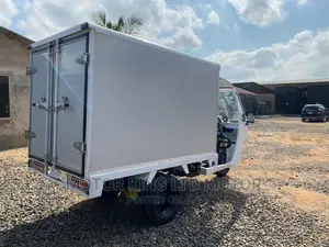 New Tricycle 2023 White