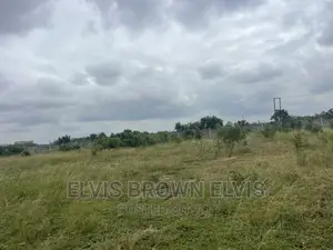 Available Roadside Land 4 Sale at West Trasacco Zoomlion