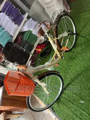 Bicycle (Adult)
