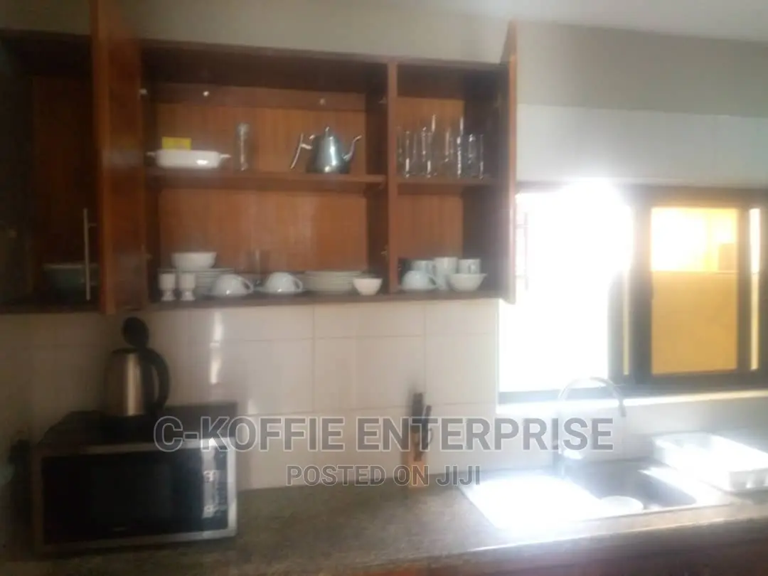 Furnished 1bdrm Apartment in Osu for rent