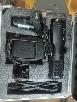 Tbone Podcast Mic