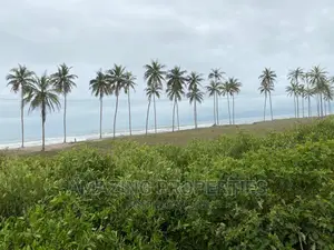 100 Acres of Land and Intact Documents Winneba