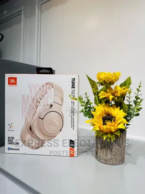Look Very Cute JBL Tune 760 Headphones