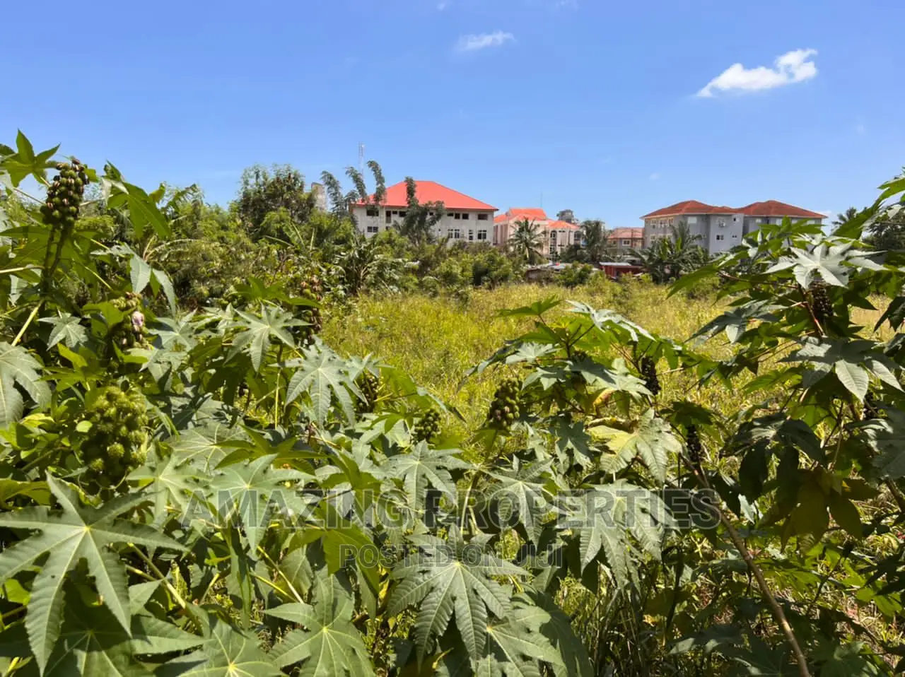 5.5 Plots of Land for Sale at Tema Community 25