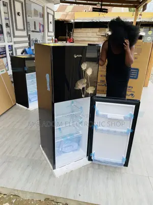 Pearl PF 20T Double Refrigerator With Mirror Body Finishing.
