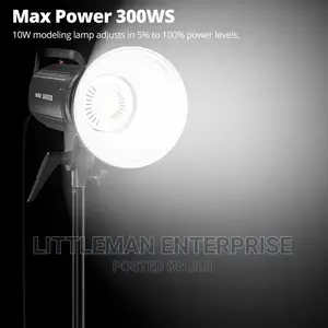Godox Sk300ii Studio Flash Strobe Light