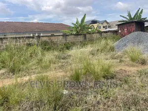 Do You Need a Half Plot of Land for at Botwe SCH Jut