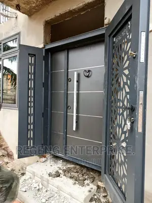 Exclusive Heavy Door in Door Security Door