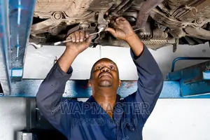 Ford / American Car Specialist