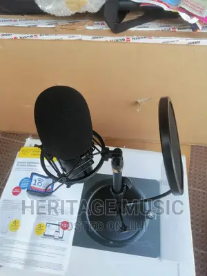 Tbone Studio and Podcast Mic