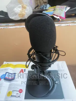 Tbone Studio and Podcast Mic