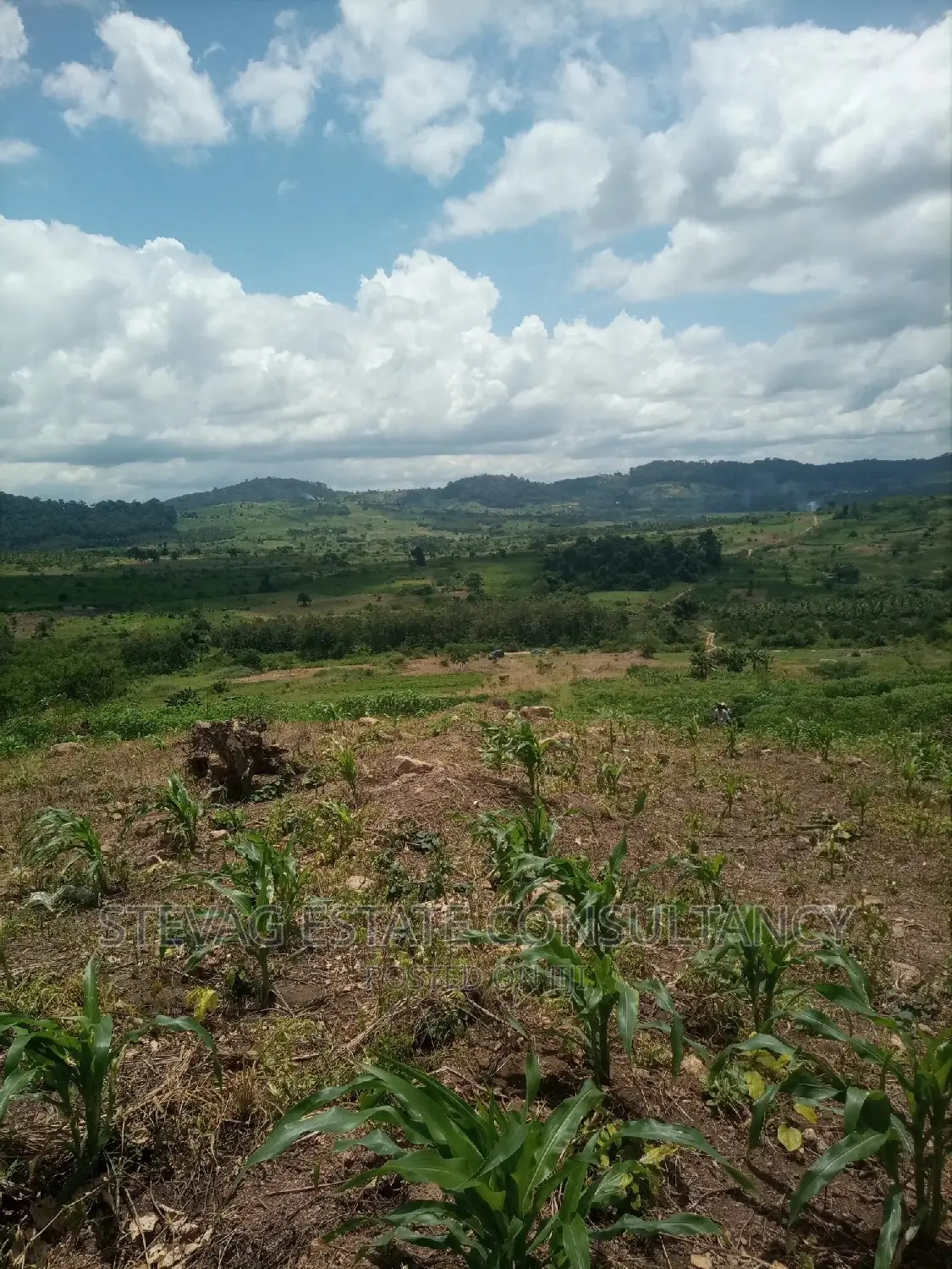 Alpha Properties Estate Land for Sale at Amasaman Obom Ashifla