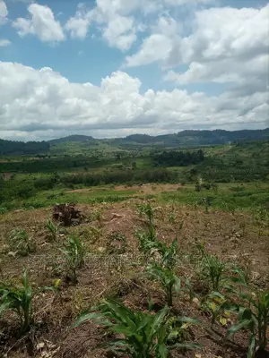 Alpha Properties Estate Land for Sale at Amasaman Obom Ashifla