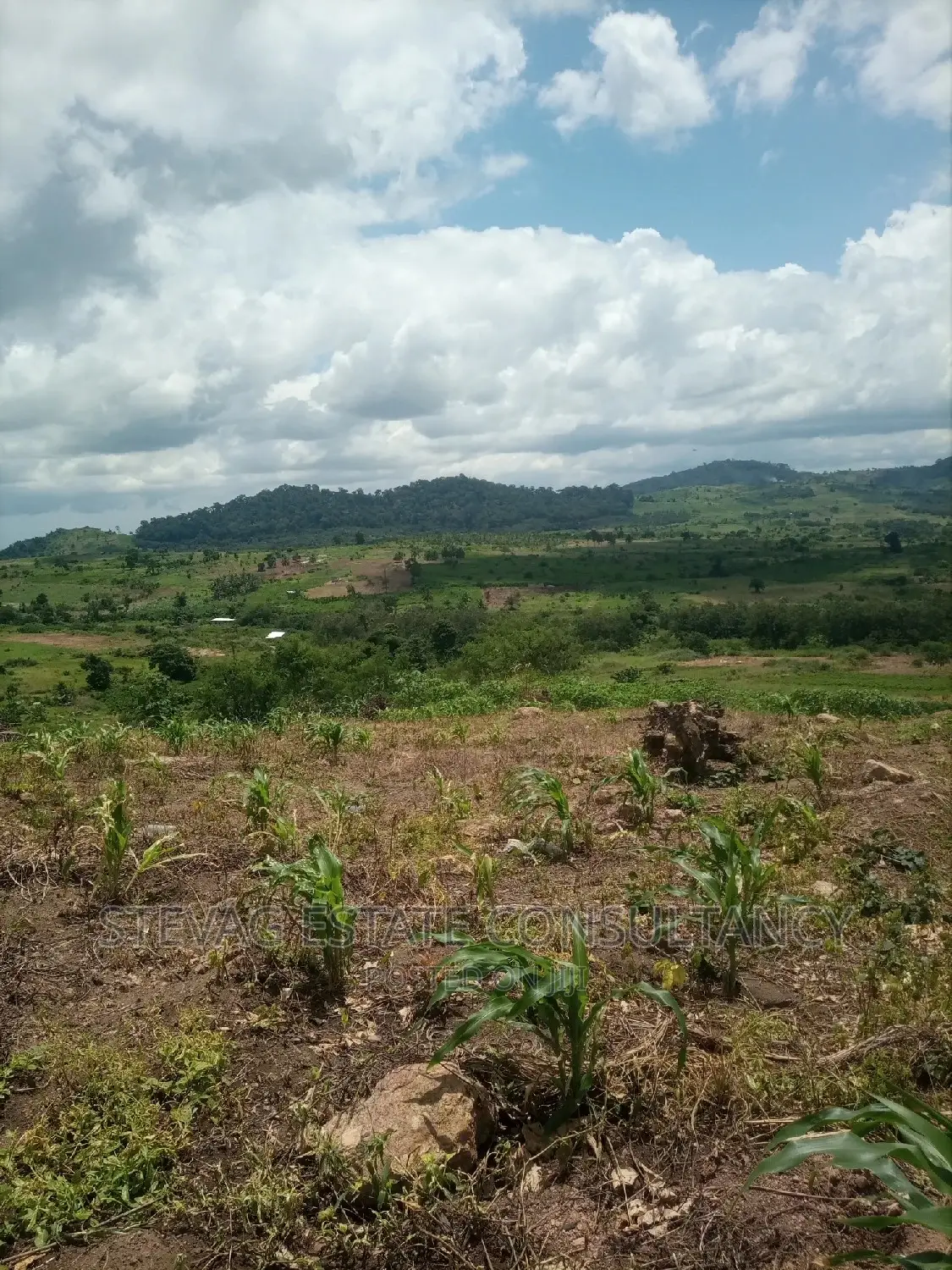 Alpha Properties Estate Land for Sale at Amasaman Obom Ashifla