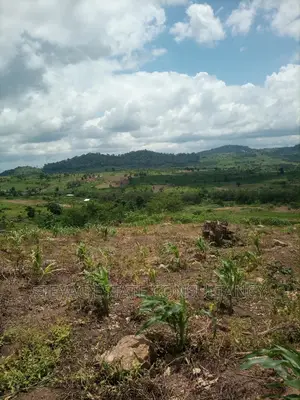 Alpha Properties Estate Land for Sale at Amasaman Obom Ashifla