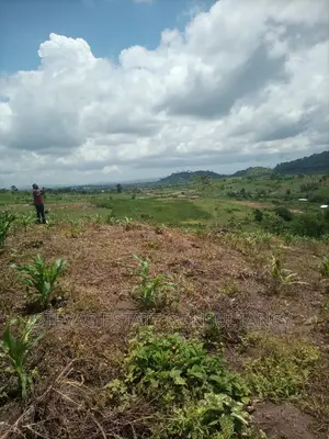 Alpha Properties Estate Land for Sale at Amasaman Obom Ashifla