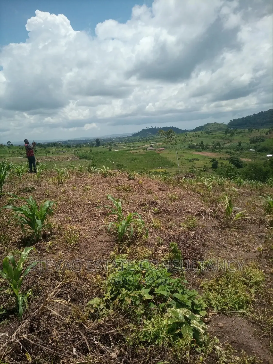 Alpha Properties Estate Land for Sale at Amasaman Obom Ashifla