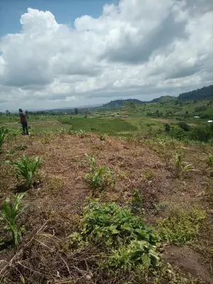 Alpha Properties Estate Land for Sale at Amasaman Obom Ashifla