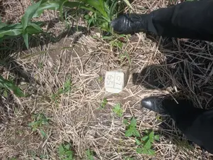 Alpha Properties Estate Land for Sale at Bawjiase Tta