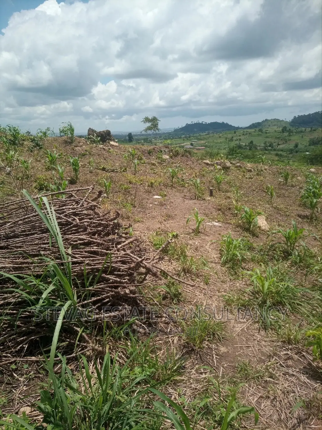 Alpha Properties Estate Land for Sale at Bawjiase Tta
