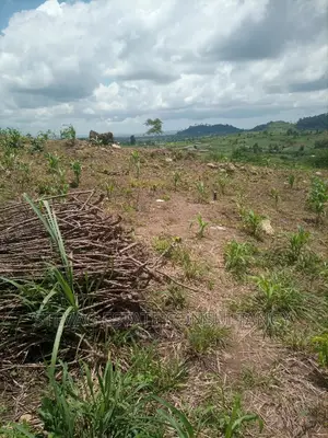 Alpha Properties Estate Land for Sale at Bawjiase Tta