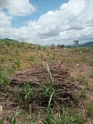 Alpha Properties Estate Land for Sale at Bawjiase Tta
