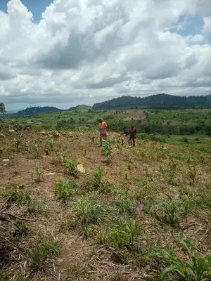 Alpha Properties Estate Land for Sale at Bawjiase Tta