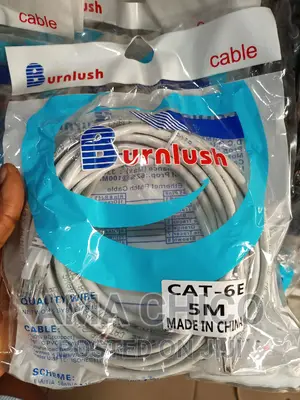 Short Cat6 Cable (Internet Cable)