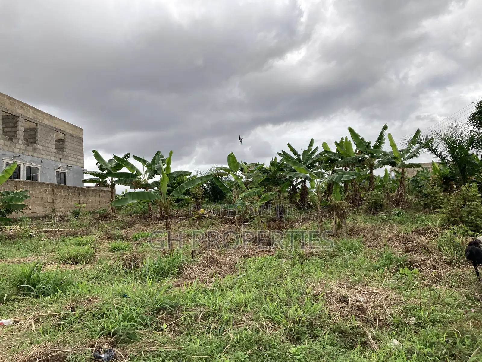 One Full Plot for Sale at Kaase Oti.