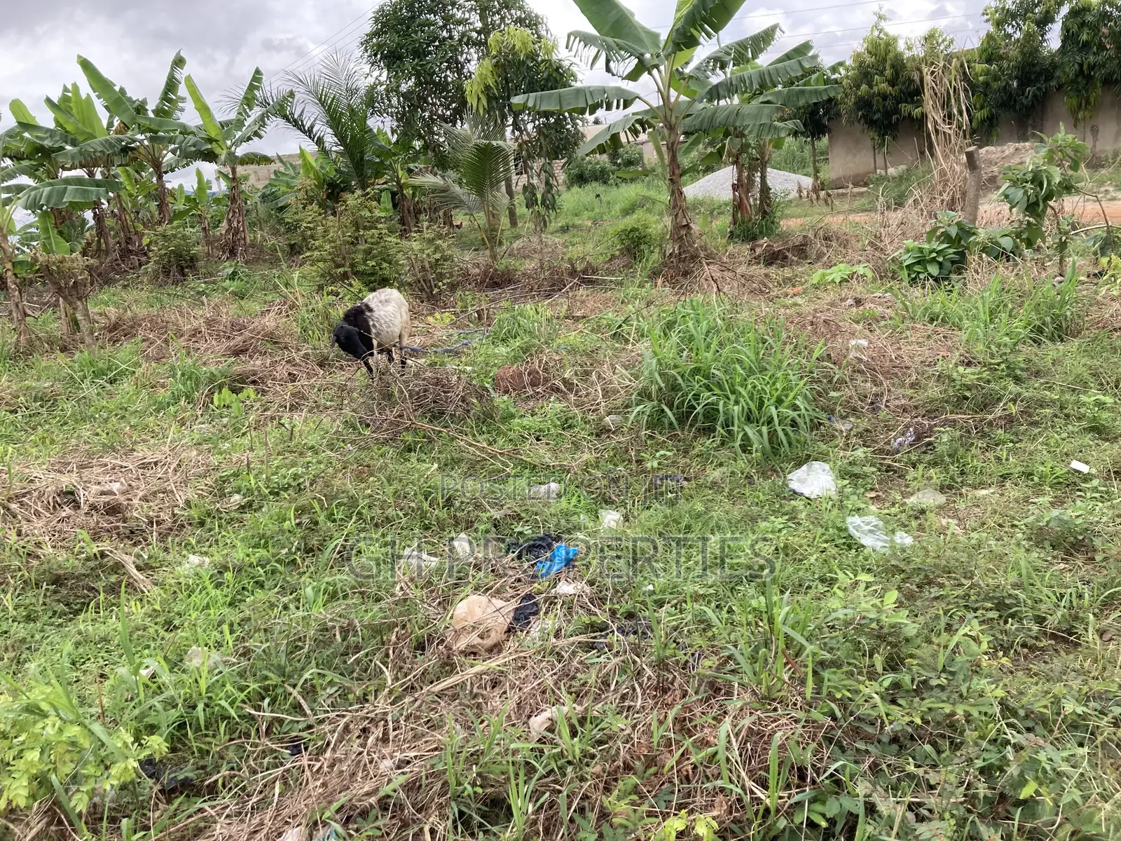 One Full Plot for Sale at Kaase Oti.