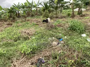 One Full Plot for Sale at Kaase Oti.