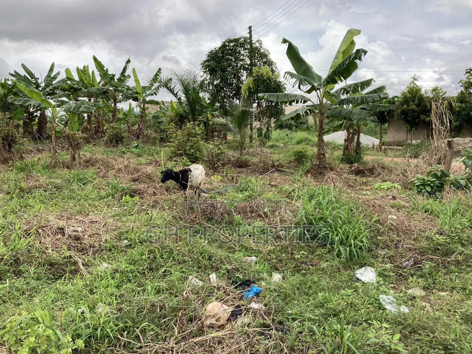 One Full Plot for Sale at Kaase Oti.