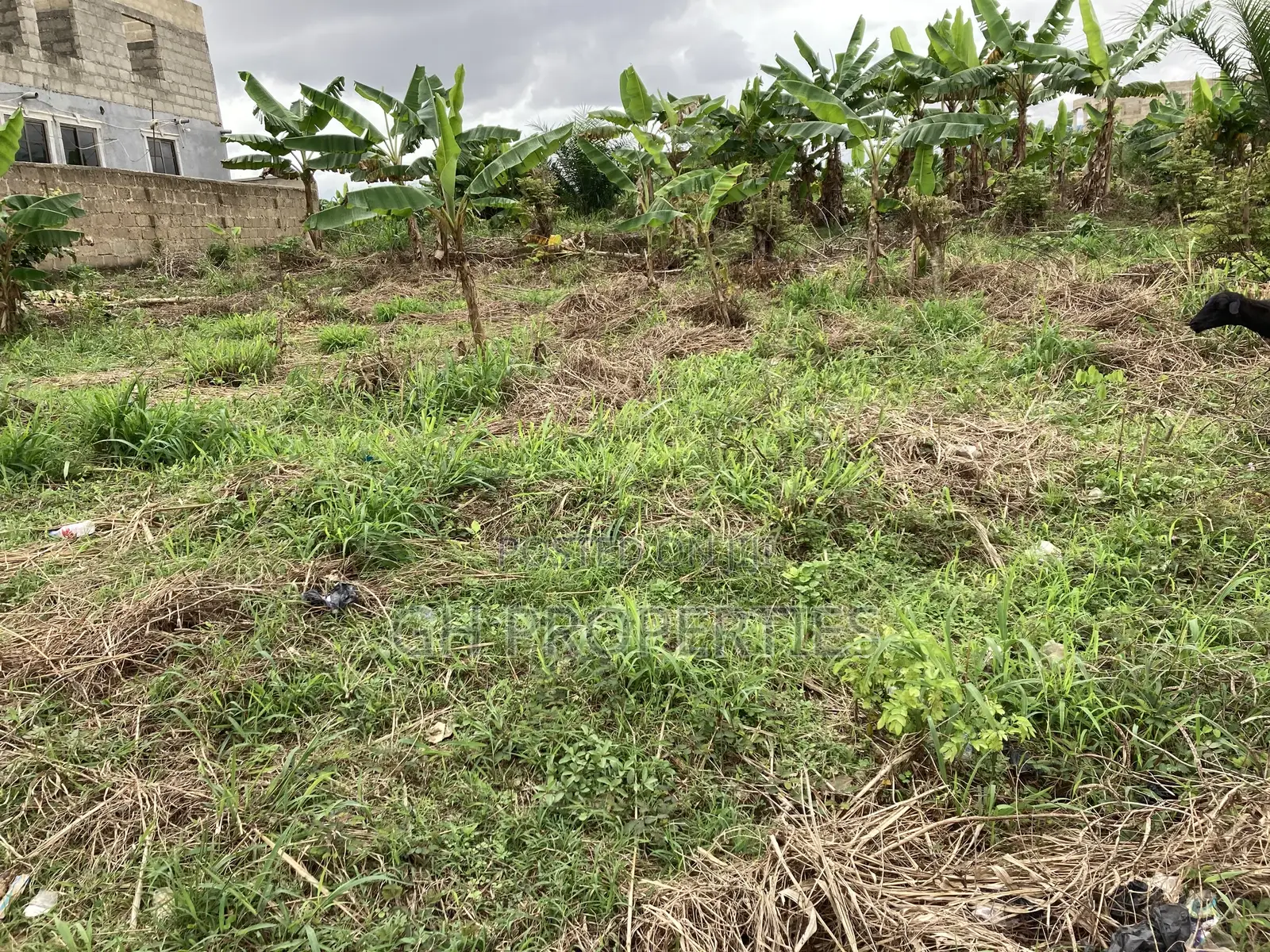 One Full Plot for Sale at Kaase Oti.