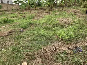One Full Plot for Sale at Kaase Oti.