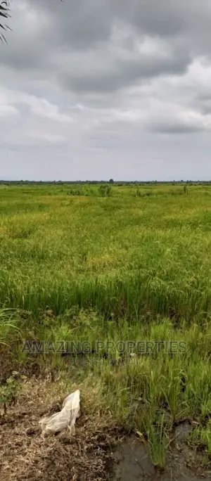 Acres of Land at Juapong