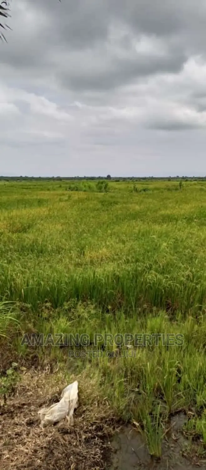 Acres of Land at Juapong