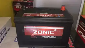 New Batteries - 17 Plates Right for Hardbody H1