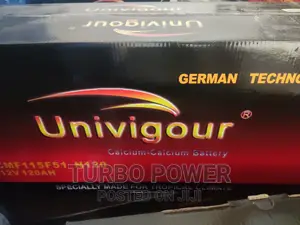 Univigour 120 Ah 21 Plates