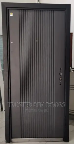Paladin Special Design Security Doors For Interior+Exterior