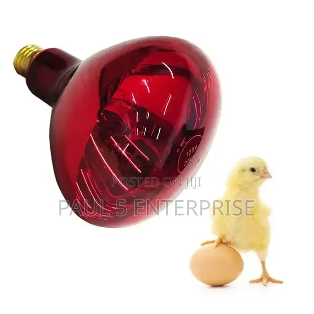 Heater Shade Lamp for New Born Piglet and Poultry Farmers