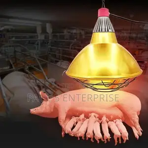 Heater Shade Lamp for New Born Piglet and Poultry Farmers