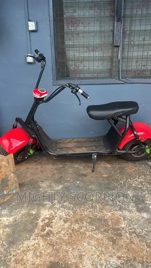 Electric Bike Repairs