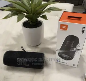 Friendly Budget on JBL Flip 6 Speaker
