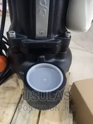 Pedrollo 2hp Sewage Pump