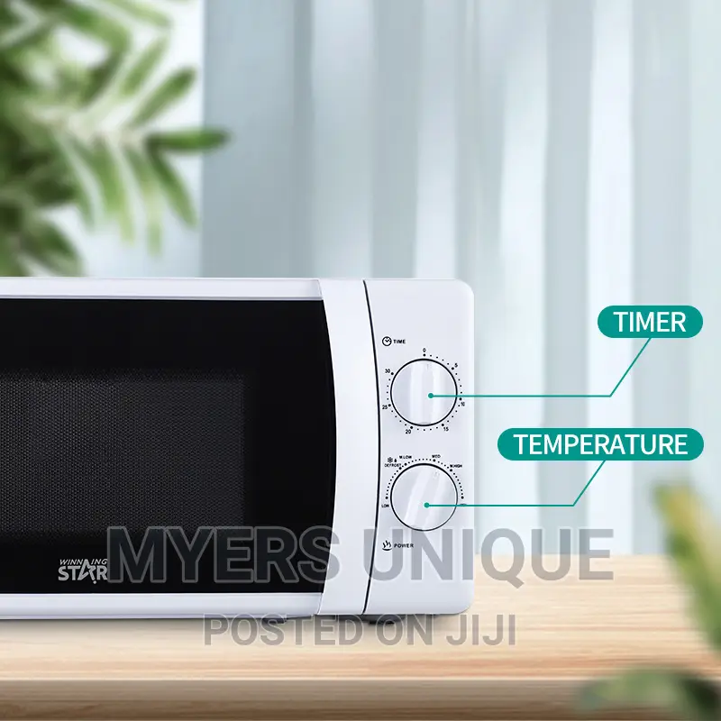 Winning Star Microwave 20L