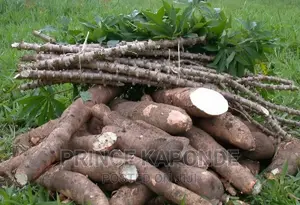 Cassava Sticks