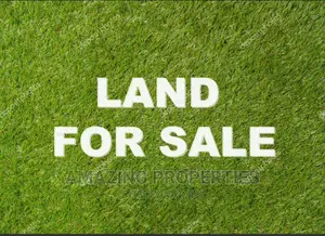 1000 Acres of Land at Akosombo