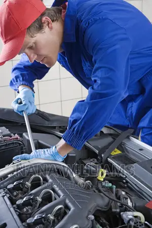 Professional AUTO Engineering / FIXING Cars